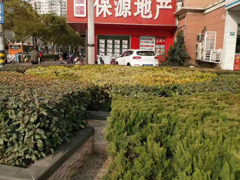 股權代持協議糾紛的管轄法院如何確定？深圳四大律師事務所告訴您